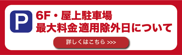 駐車場最大料金適用除外日