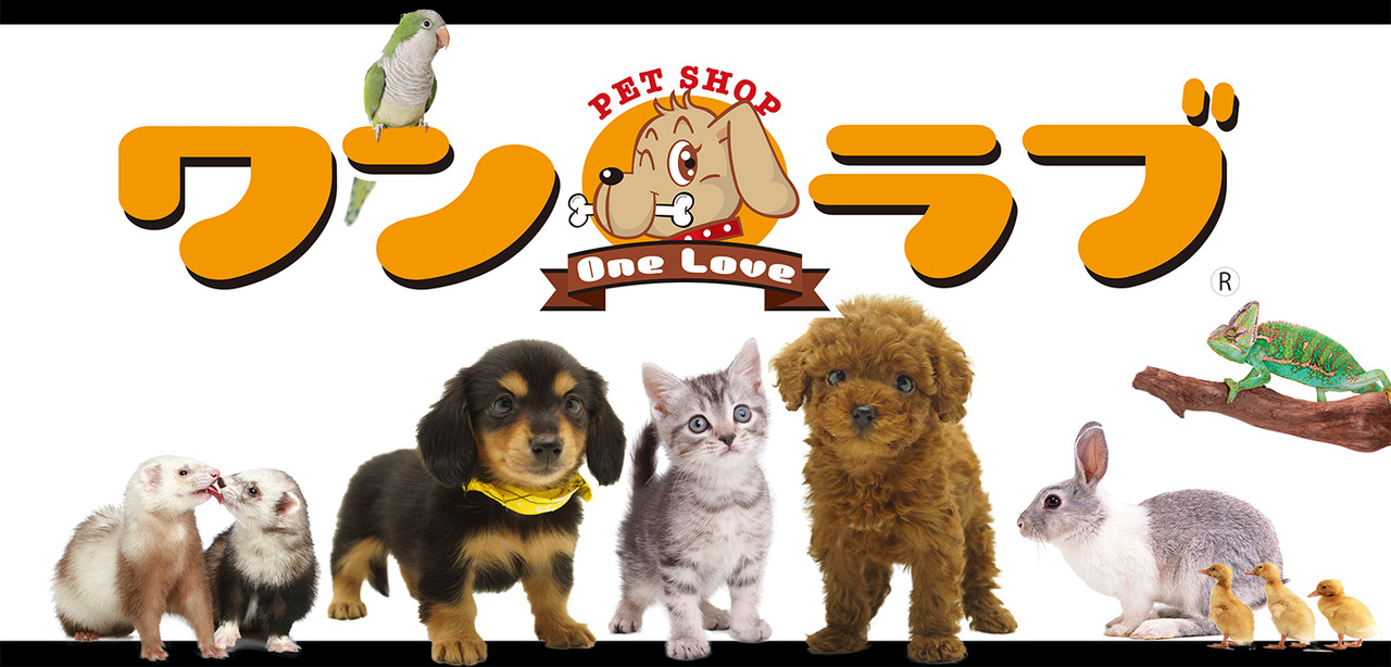 ペットショップ　ワンラブ
